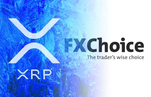 FXChoice